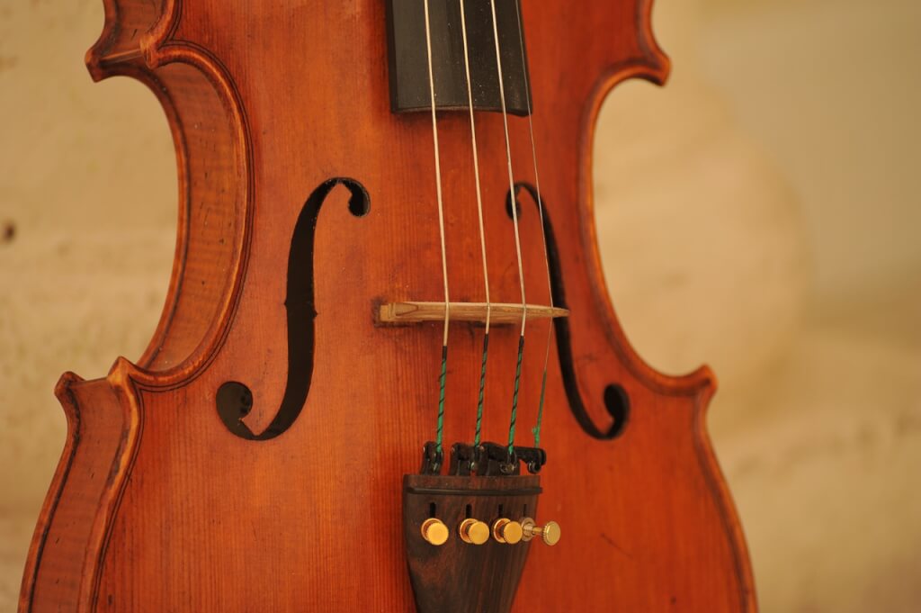 violin-1902922_1280